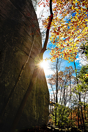 Bridge Buttress