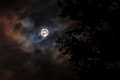 Fayette County Moon Scape