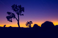 Night to Day in Joshua Tree, California