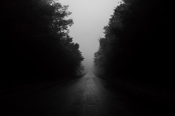 Into the Cranberry Wilderness, WV