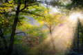 Light Rays on WV Country Road