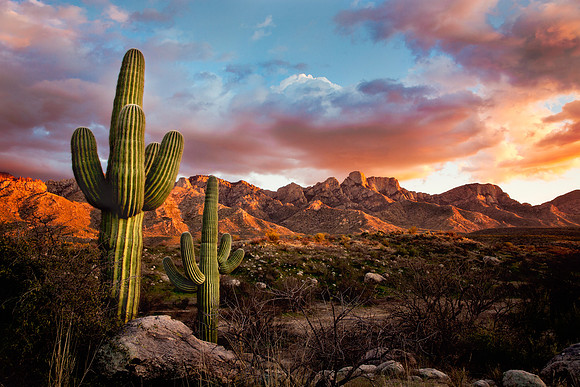 Catalina State Park, Arizona