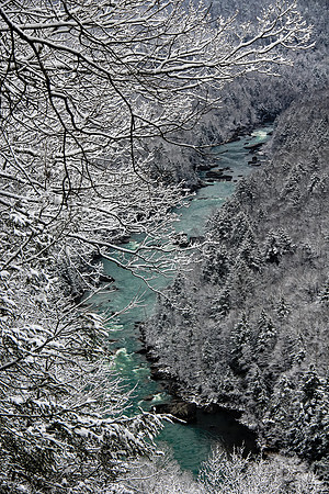 Gauley River