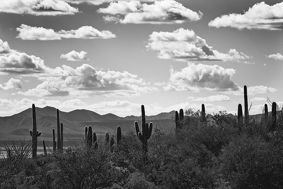 Arizona landscape