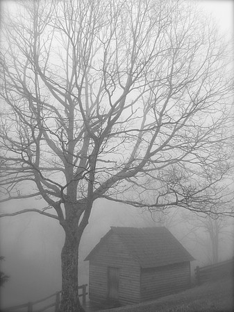 Blue Ridge Parkway Cabin in Fog