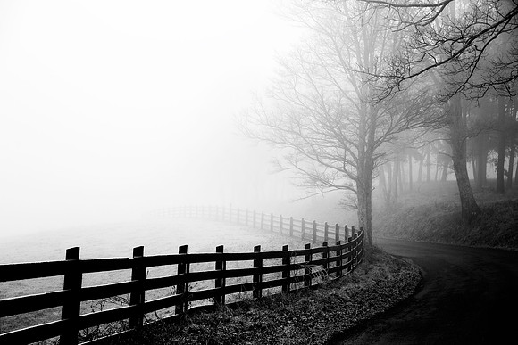 Farm Fog