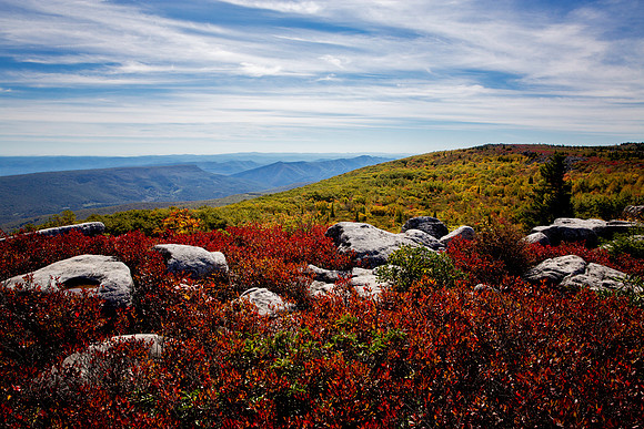 Dolly Sods in the Fall