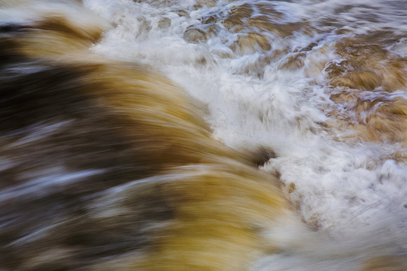 Rushing water on Wolf Creek