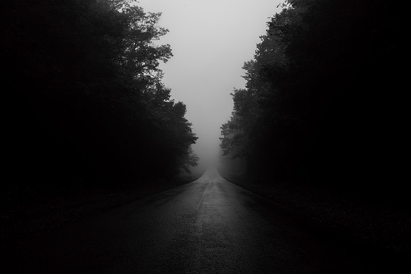 Into the Cranberry Wilderness, WV