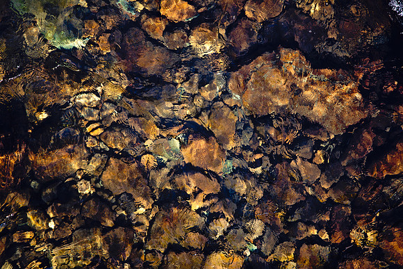 Cherry River Abstract