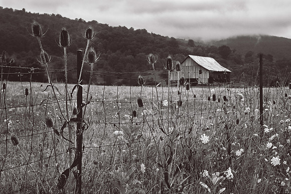 WV Farm