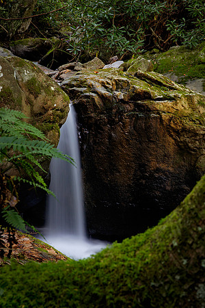 Keeney Creek, New River Gorge, WV