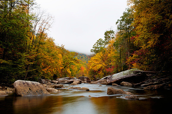 Cranberry River, WV