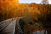 Rim to River 100 Mile