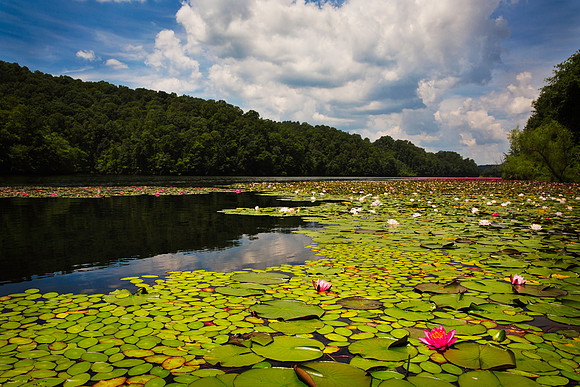 Plum Orchard Lake, WV
