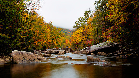 Cranberry River, WV