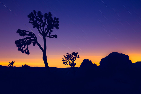 Night to Day in Joshua Tree, California
