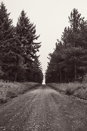 Dolly Sods, Jordan Run Road, WV