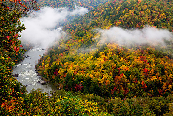 The Gauley River