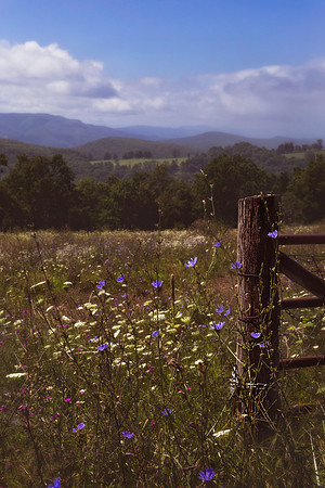 Jordan Run Road, Dolly Sods, WV