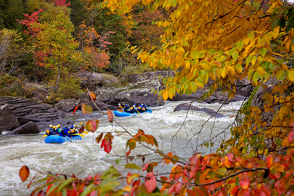 Gauley River Rafting, Lost Paddle - West Virginia