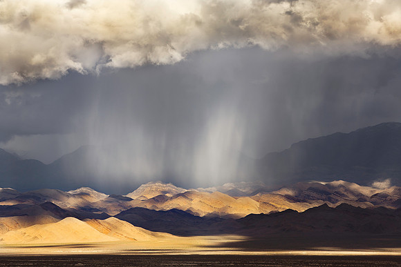 Desert Rain