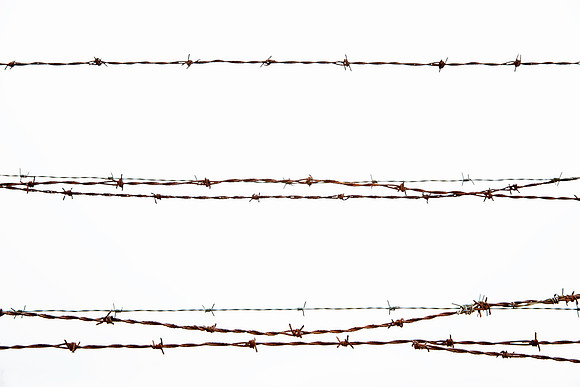 Barbed Wire