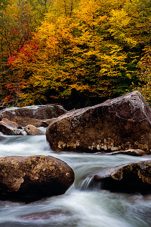 Cranberry River, WV