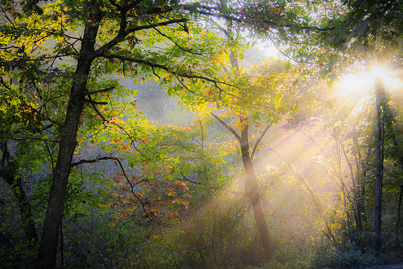 Light Rays on WV Country Road